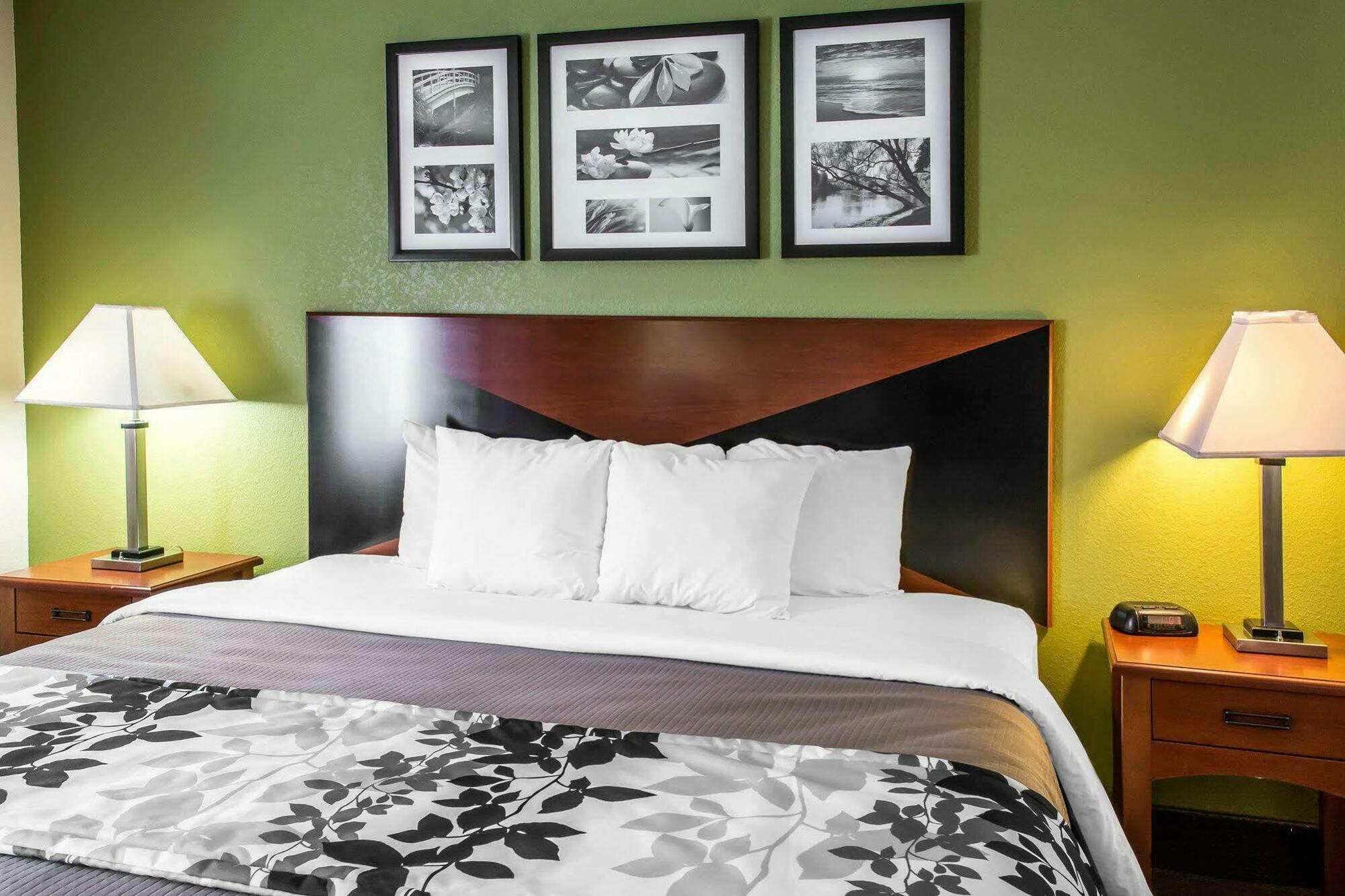 Sleep Inn Wytheville I-77 And I-81 Екстер'єр фото